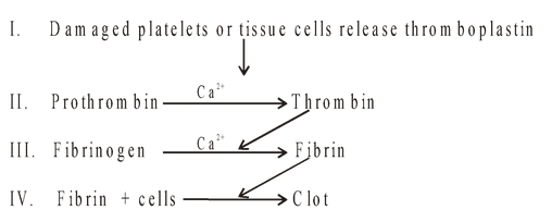 Blood Clotting